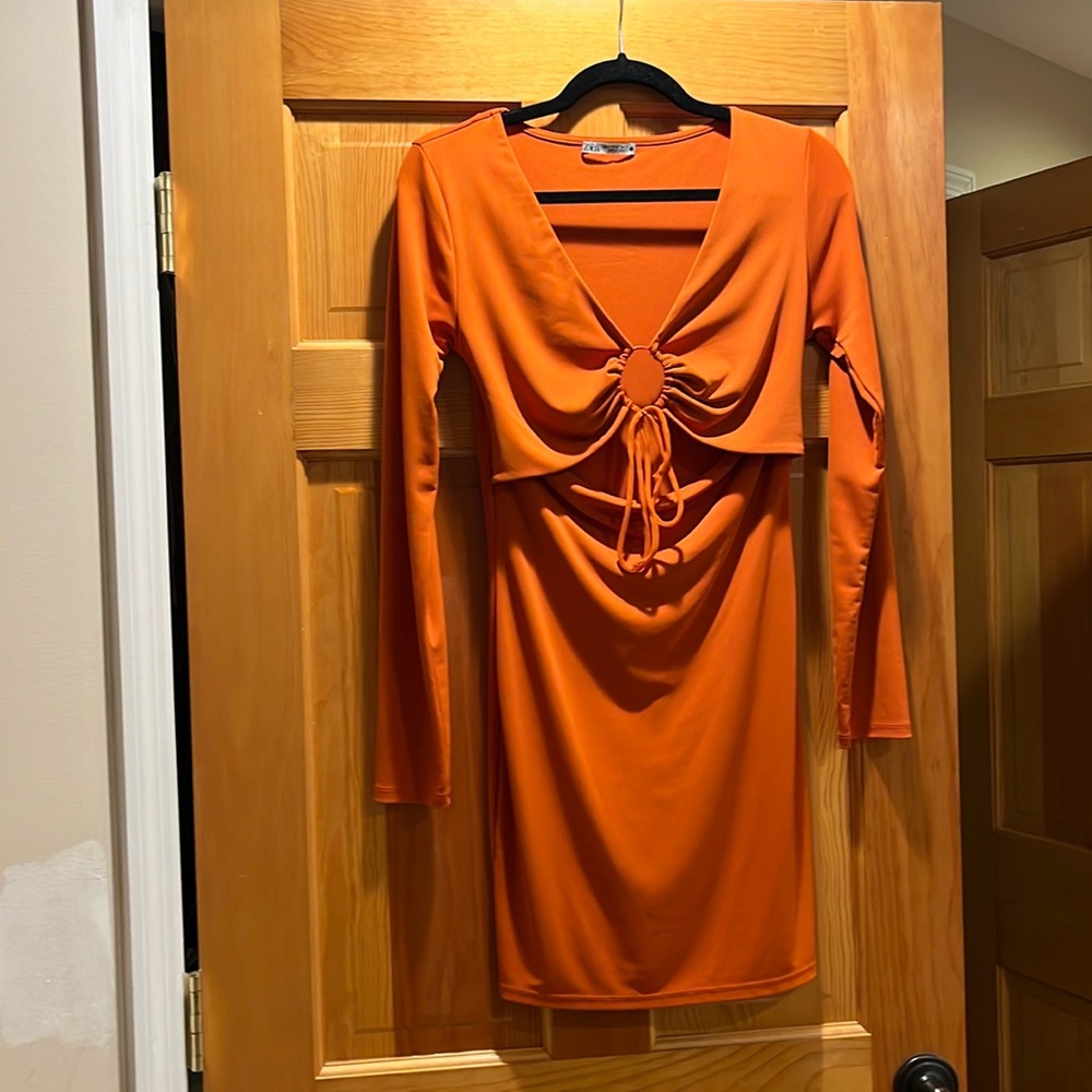 Zara dress